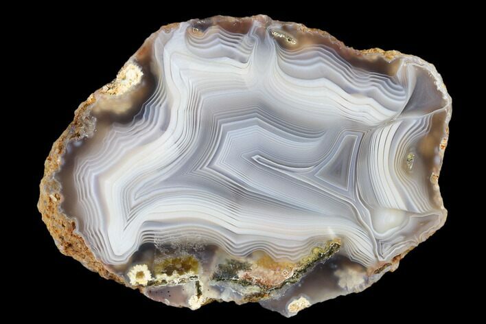 Polished Agate Nodule with Wegeler Effect - Agouim, Morocco #181306